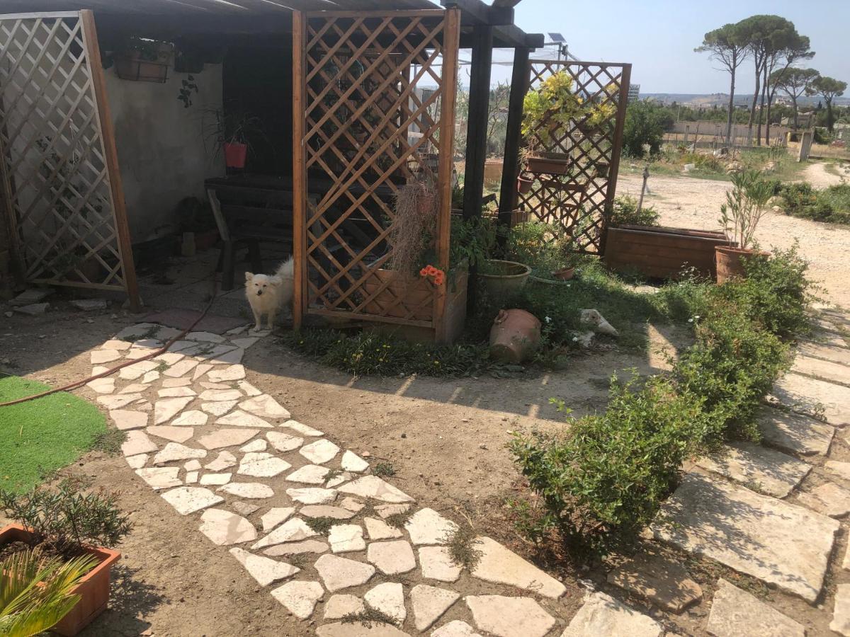 Villa Radiosa Gravina in Puglia Buitenkant foto